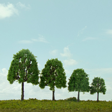 model trees